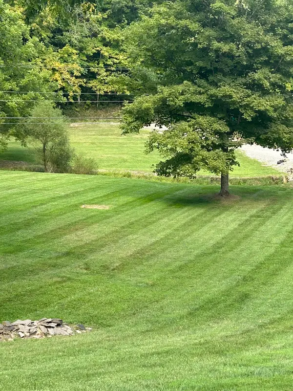 Lawn and trees beside a wooded area
