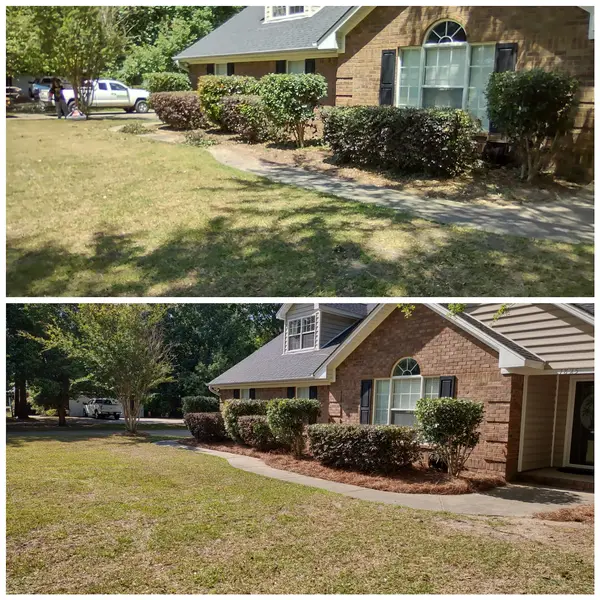 Shrub cleanup beside a house