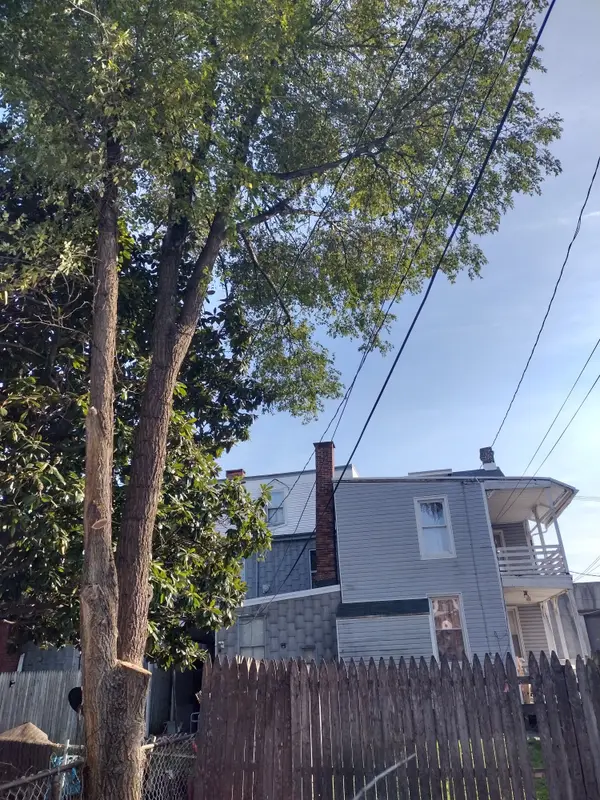Tree work near overhead utility lines