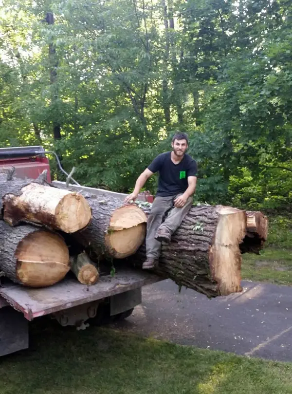 One of two truckloads of 4,000-pound main trunk sections from an enormous white pine struck by lightning