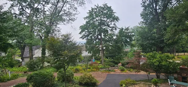 Pest and Disease Management context for Seidel's Tree Service