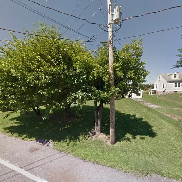 Mature Tree Work context for Eichelbergers Tree Service