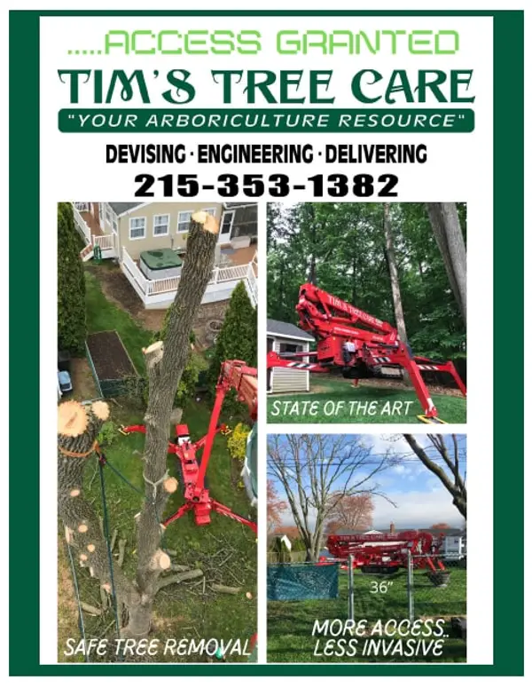 Tree care access and removal graphic from the Tim's Tree Care profile