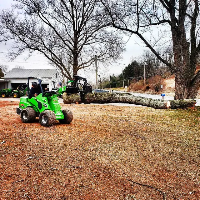 Brush & Property Cleanup context for Nathan's Tree Service LLC