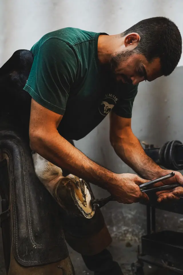 Barn Route Scheduling context for Eastern PA Farrier