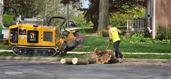 Crew and tracked equipment clearing a stump