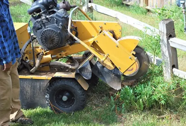 Stump Removal & Grinding context for Point Pleasant Tree Service
