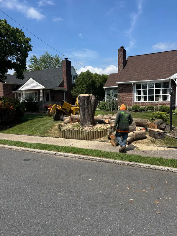 Large stump being removed from a front yard