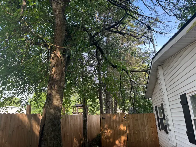 Storm & Broken-Limb Work context for Galvan's Tree Services