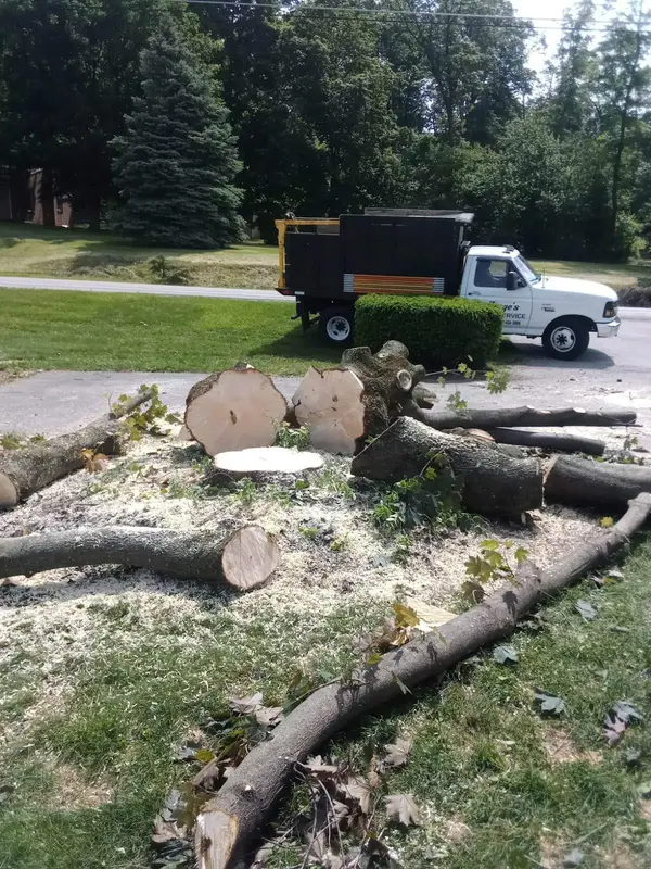 Tree-service truck with cut logs