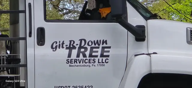 Tree-Debris Cleanup context for Git-R-Down Tree Service LLC