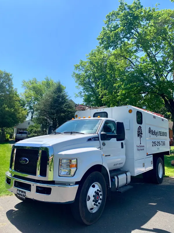 Tree-service truck shown on the McKays profile