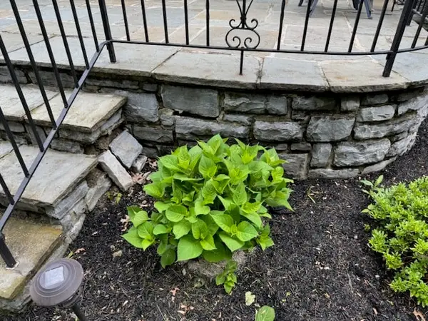 Restored stone wall beside entry steps