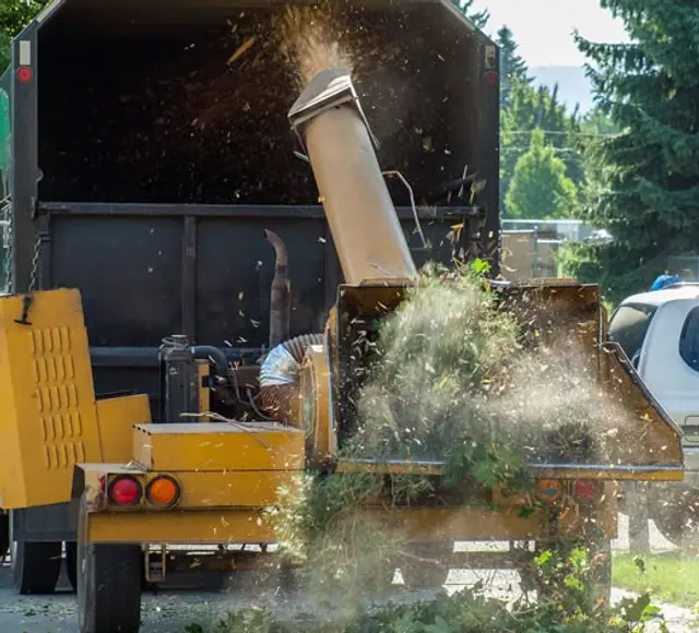 Wood Chipping context for Point Pleasant Tree Service